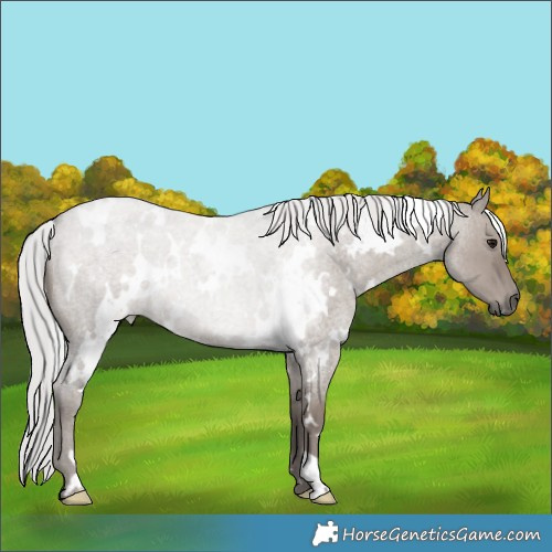 Horse Color:Platinum White Spotted Silver Grullo Roan Brindle 