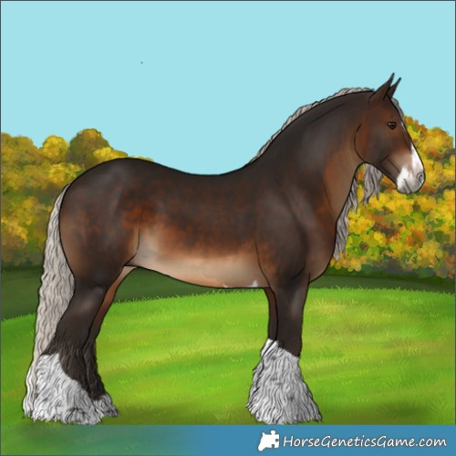 Horse Color:Gray Silver Bay Splash Tobiano