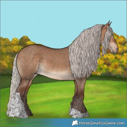 Horse Color:Silver Bay Dun Tobiano