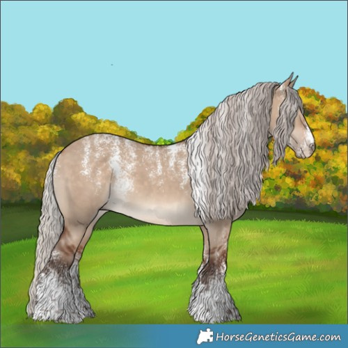 Horse Color:Powder White Silver Bay Dun 