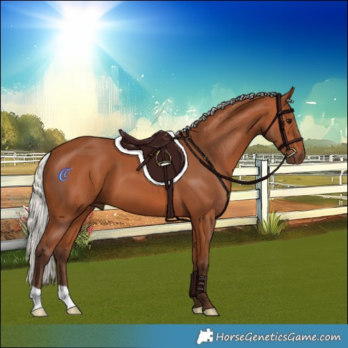 Horse Color:Silver Bay 