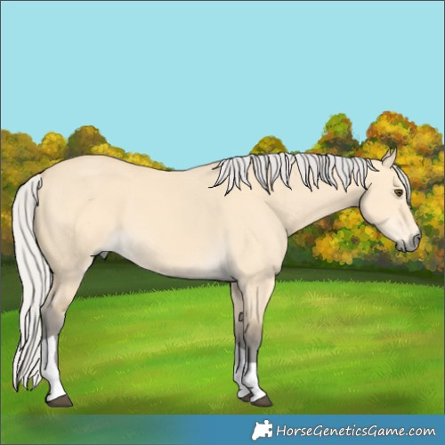 Horse Color:Silver Buckskin Dun Tobiano 