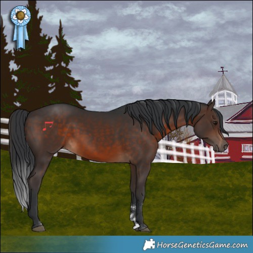 Horse Color:Brown Rabicano 
