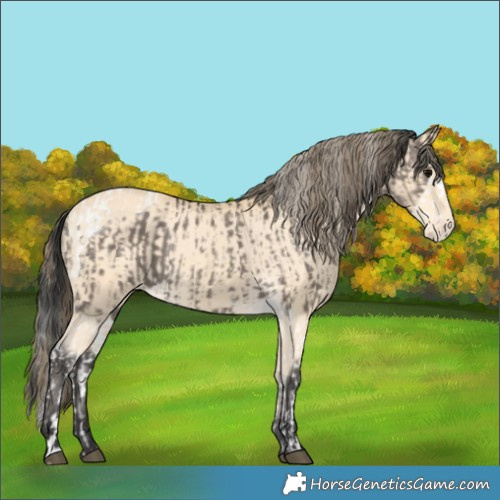 Horse Color:Grullo Splash Tobiano and Buckskin Varnish