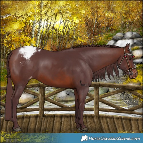 Horse Color:Chocolate Brown Varnish 