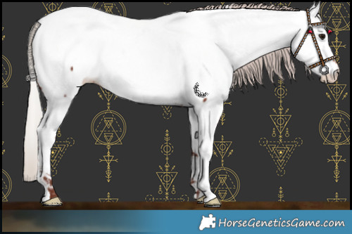 Horse Color:Chocolate Silver Bay Near Fewspot 
