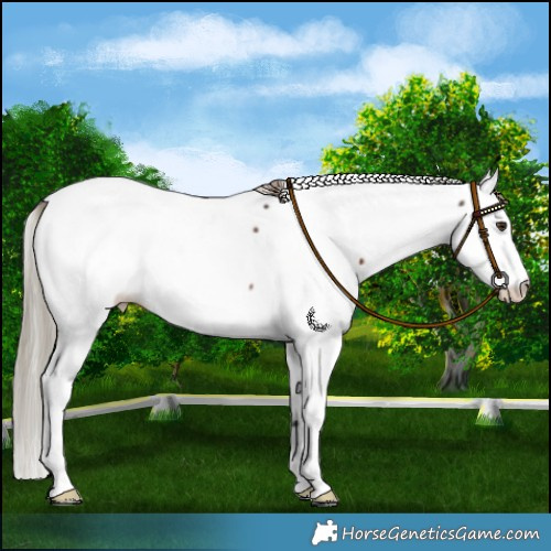 Horse Color:Liver Chestnut Fewspot 