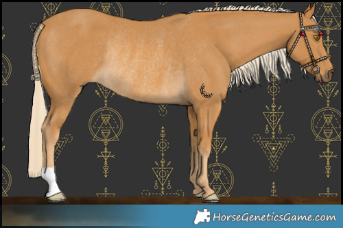Horse Color:Palomino Rabicano 