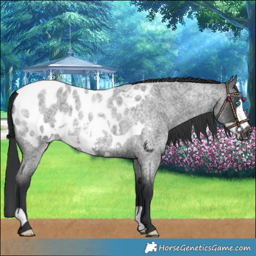 Horse Color:Blue Roan Frame Blanket