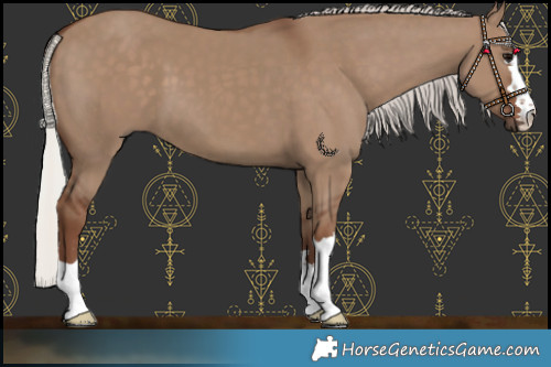 Horse Color:Silver Grullo
