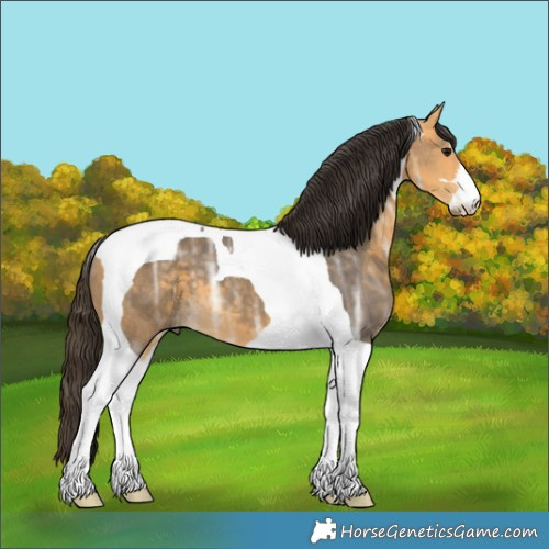 Horse Color:Buckskin Ice Tobiano