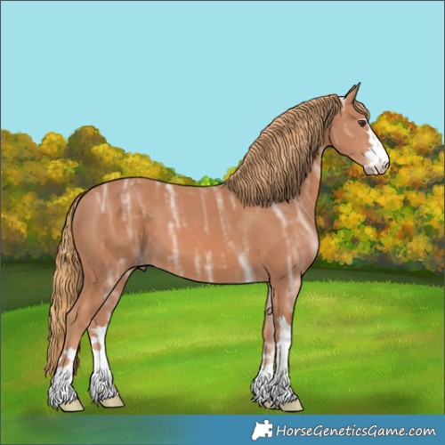 Horse Color:Chestnut Ice 