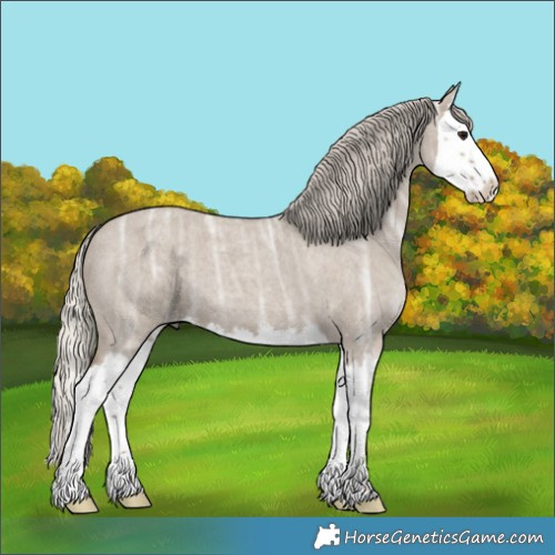 Horse Color:Silver Grullo Ice Roan Splash 