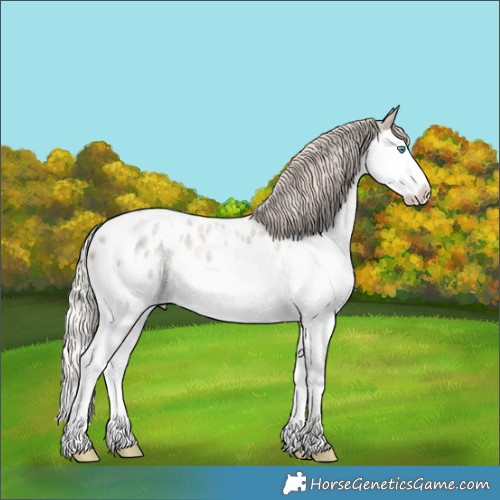Horse Color:Silver Grullo Ice Roan Splash Blanket