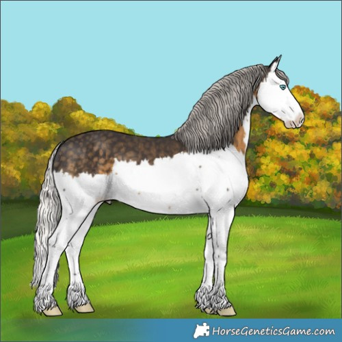 Horse Color:Silver Smoky Black Splash 