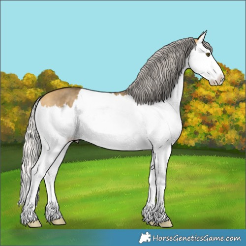 Horse Color:Silver Buckskin Dun Splash