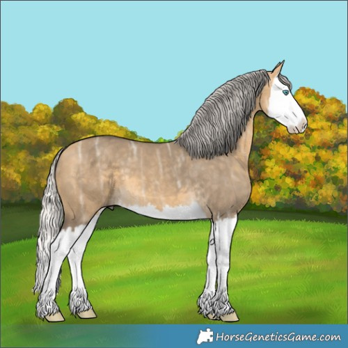 Horse Color:Silver Buckskin Ice Dun Splash 