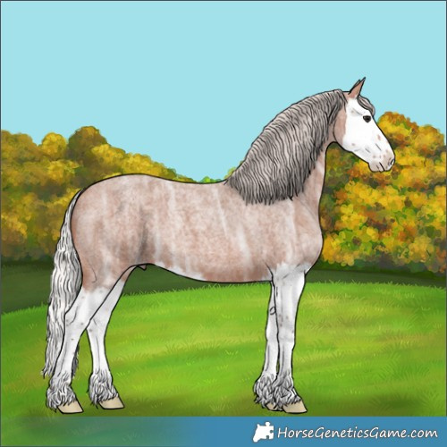 Horse Color:Silver Bay Ice Roan Splash 