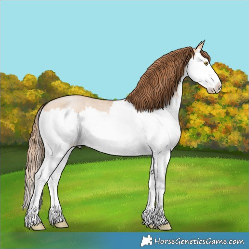 Horse Color:Bay Roan Pearl Dun Splash