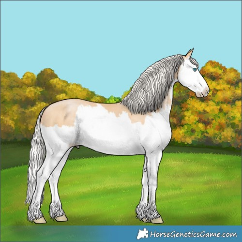 Horse Color:Silver Buckskin Pearl Splash