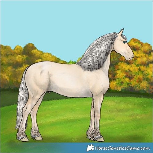 Horse Color:Silver Buckskin Pearl Dun 