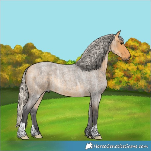 Horse Color:Silver Buckskin Ice Roan