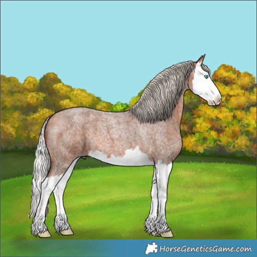 Horse Color:Silver Bay Roan Splash 