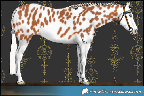 Horse Color:Silver Bay Splash Leopard 
