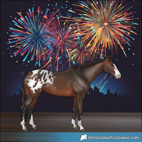 Horse Color:Brown Blanket