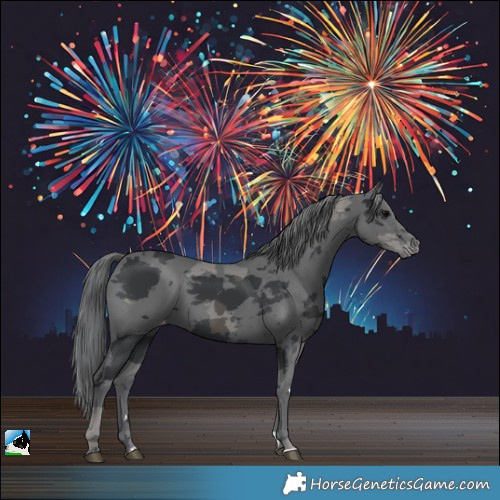 Horse Color:Black Merle Varnish 
