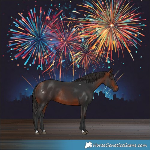 Horse Color:Bay Rabicano 