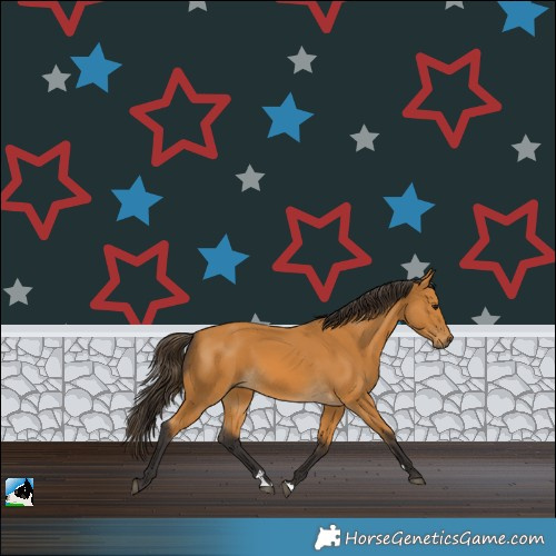 Horse Color:Buckskin