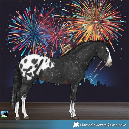 Horse Color:Gray Brown Sabino Splash Blanket