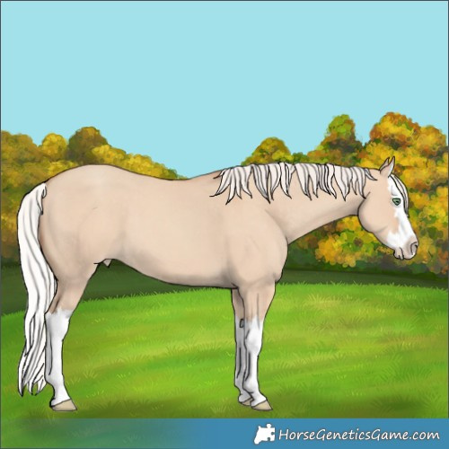 Horse Color:Silver Classic Champagne Dun Splash Varnish 