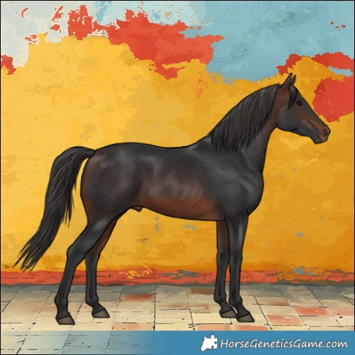 Horse Color:White Spotted Brown 