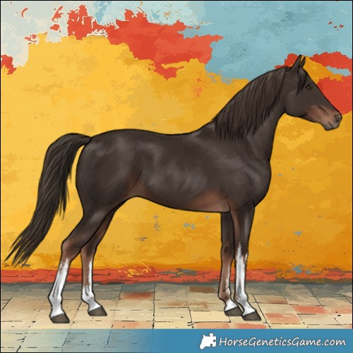 Horse Color:White Spotted Liver Chestnut 