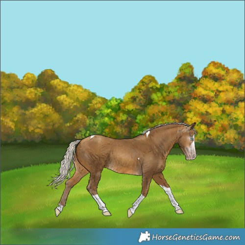 Horse Color:Gray Silver Amber Cream Champagne Splash Tobiano Varnish