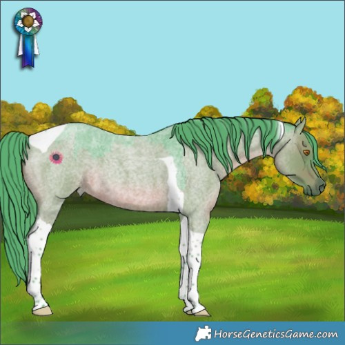 Horse Color:Watercolor Chocolate Grullo Roan Tobiano