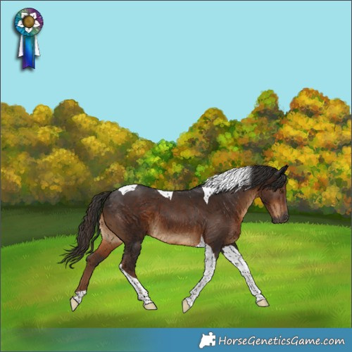 Horse Color:Gray Liver Chestnut Tobiano 