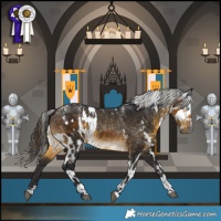 Horse Color:Powder White Gray Buckskin Merle Skewed LP Spotted and Powder White Silver Buckskin Skewed LP Spotted
