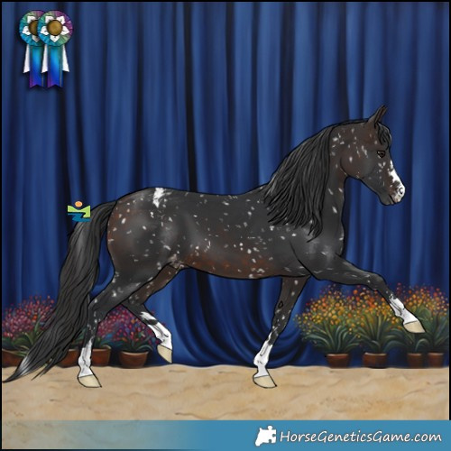 Horse Color:Brown Snowflake Varnish 
