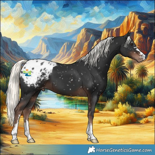Horse Color:Liver Chestnut Mushroom Appaloosa