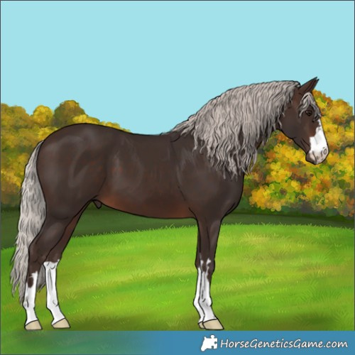Horse Color:Silver Brown 