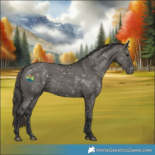 Horse Color:Grullo Appaloosa Rabicano 