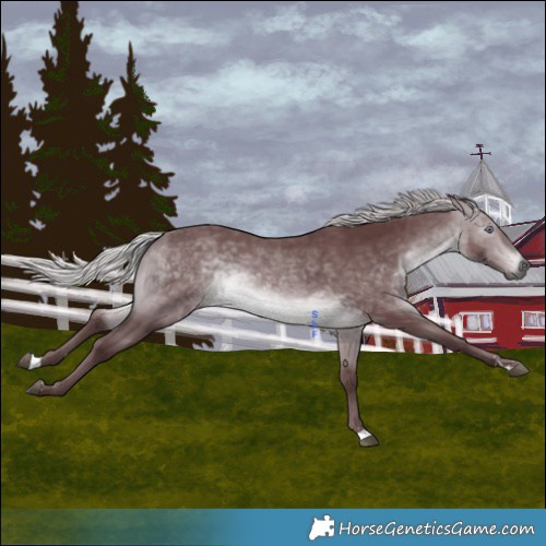 Horse Color:Chocolate Silver Brown Chinchilla 