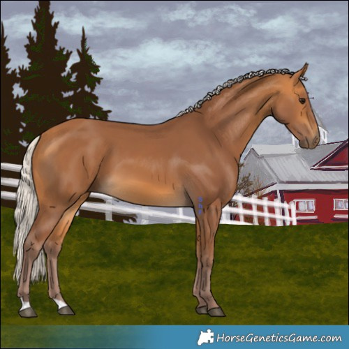 Horse Color:Chocolate Silver Buckskin 
