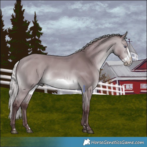 Horse Color:Chocolate Silver Bay Chinchilla Frame