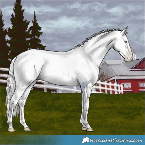 Horse Color:Silver Sable Cream Champagne Chinchilla Pearl 