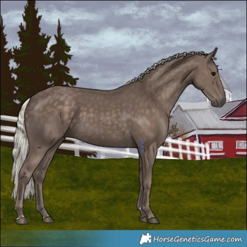 Horse Color:Silver Black 