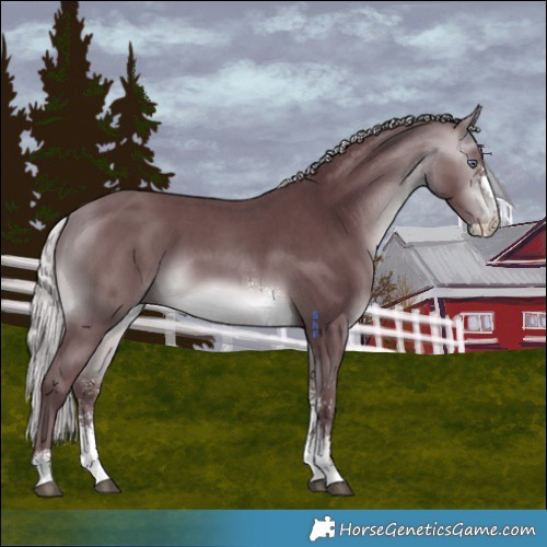 Horse Color:Chocolate Silver Bay Chinchilla Sabino 